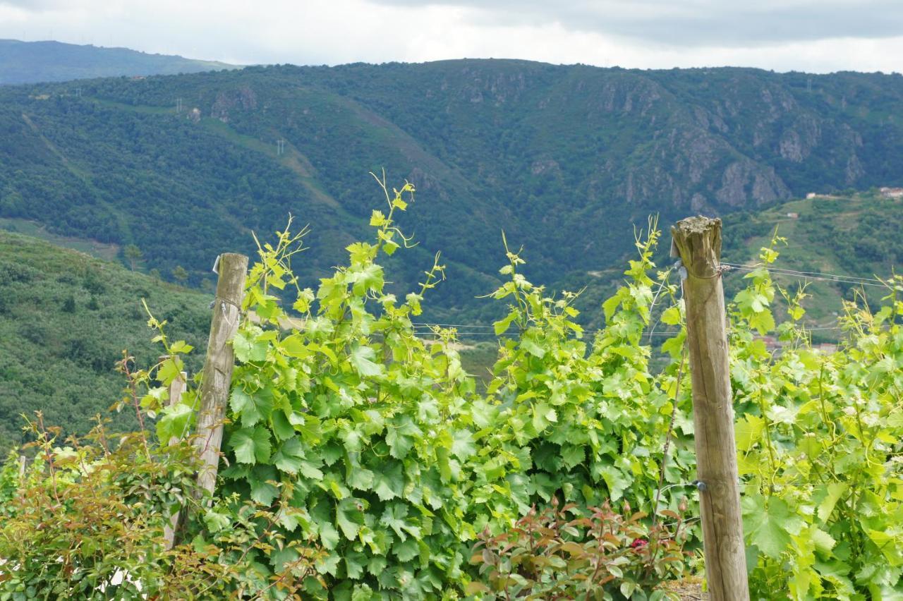 Apartmán O Muino Casa Ferrador Ribeira Sacra Barantes Exteriér fotografie